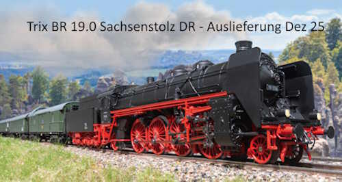 Trix Schlepptenderlokomotive BR 19 DR 