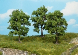 Heki 1716 4 Obstbäume 8 cm