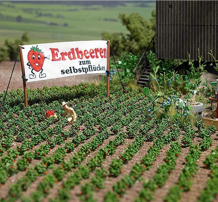 Busch 1265 Erdbeerpflanzen