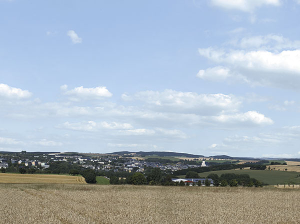 Auhagen 42514 Hintergrund Erzgebirge 2