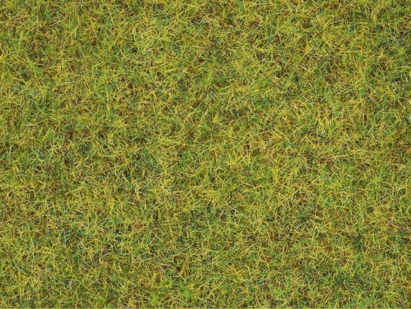 Noch 08151 Gras Sommerweise 2,5mm