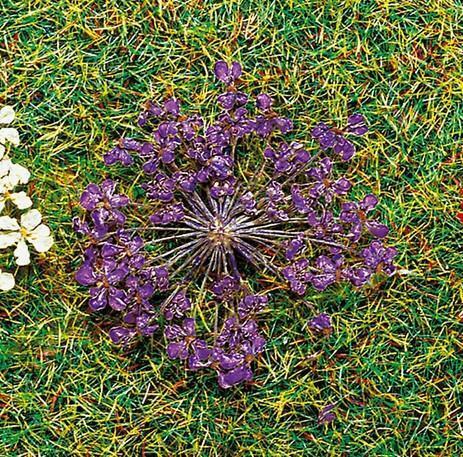 Faller 171833 Natur-Blüten lila