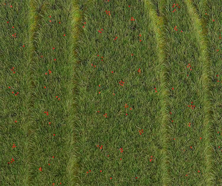 Faller 180458 PREMIUM Landschafts-Segment Getreidefeld mit Mohnblumen