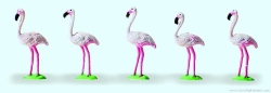 Preiser 20372 Flamingos