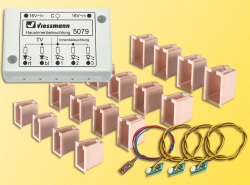 Viessmann 5079 LED-Hausinnenbeleuchtung mit TV-Simulation