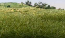 Woodland FS617 stehendes Gras 4mm dunkelgrün