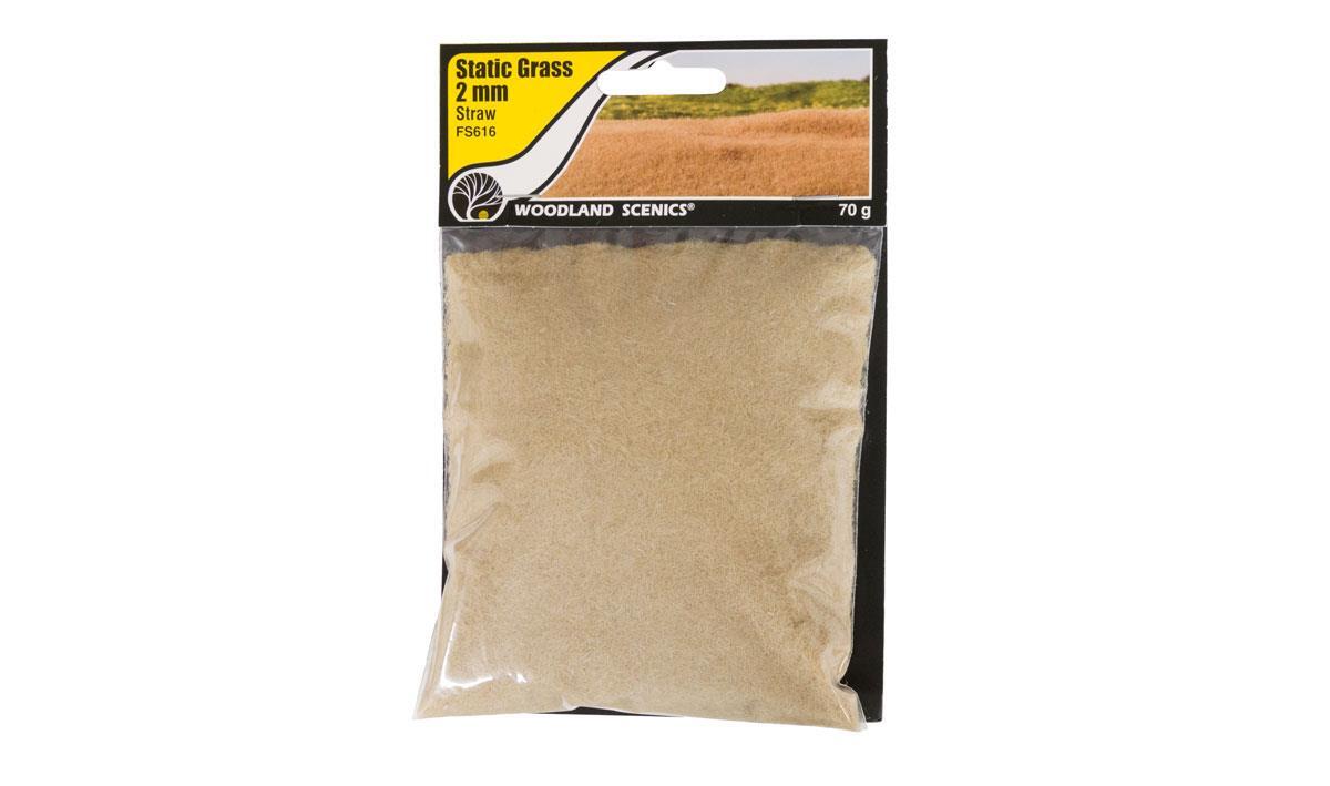 Woodland FS616 stehendes Gras 2mm strohbraun