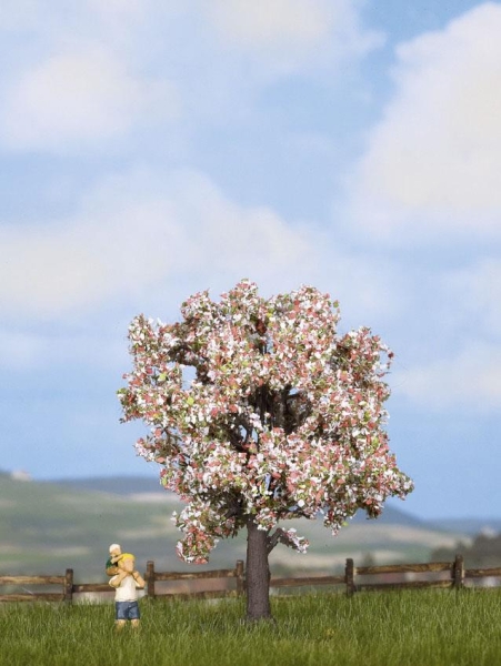 Noch 21570 Obstbaum blühend