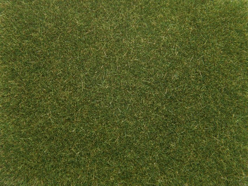Noch 08364 Streugras mittelgrün, 4 mm, 20g
