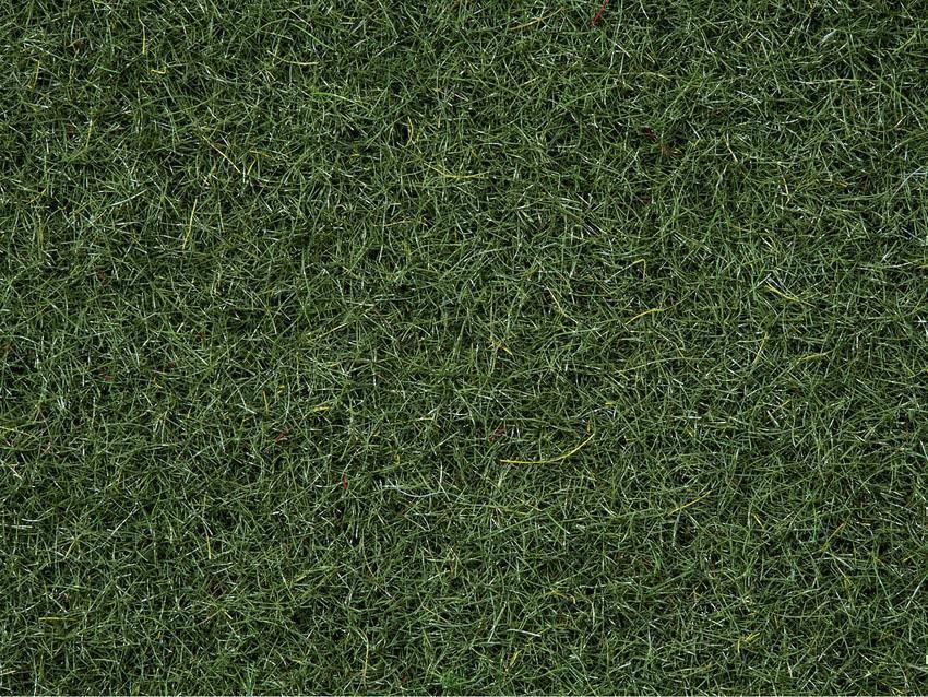Noch 08320 Moorboden-Gras