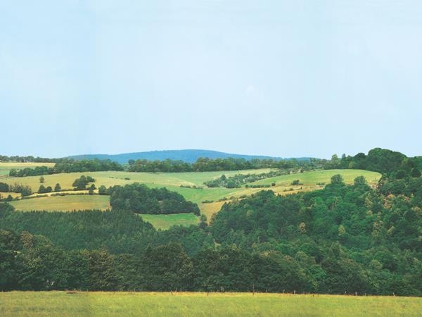 Auhagen 42516 Hintergrund Wolkenstein/Erzgebirge 8-teilig