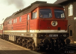 Arnold HN2599 DR Diesellokomotive BR 132 483-9, rot, Ep. IV