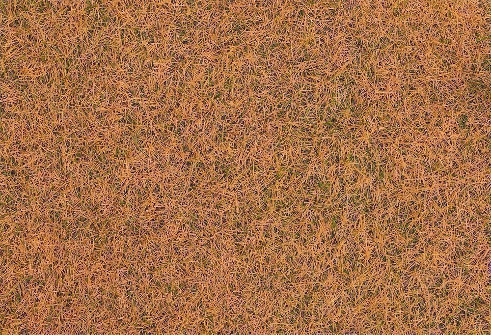 Faller 170235 Streufasern Wildgras, verdorrt, 4 mm, 80 g