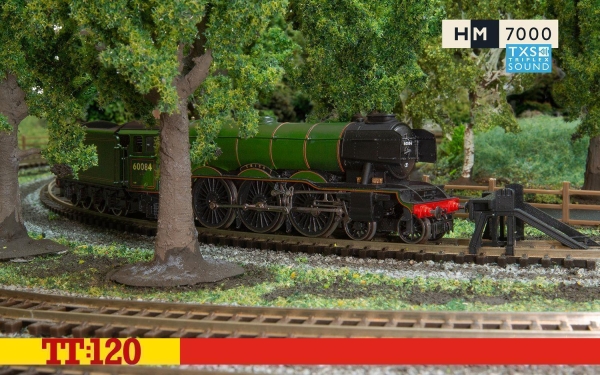 Hornby TT3006TXSM Dampflokomotive A3 4-6-2 60084 -Trigo- Sound Version