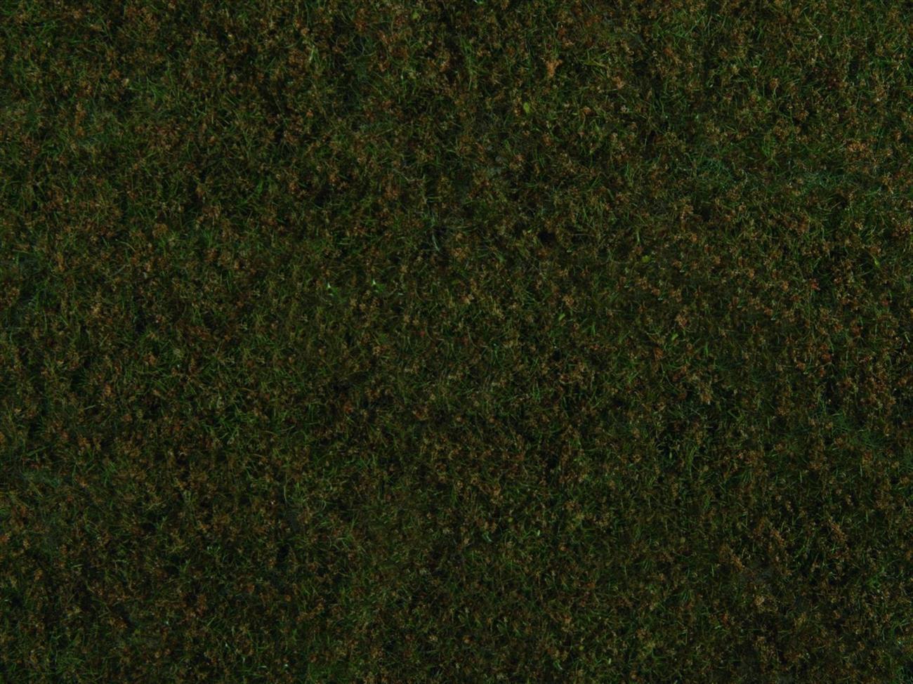 Noch 07272 Foliage