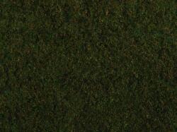 Noch 07272 Foliage