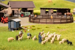 Noch 15751 Schafe scheren