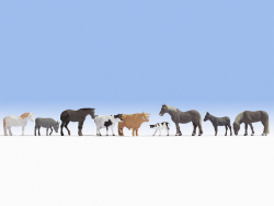 Noch 36713 Tiere auf dem Bauernhof