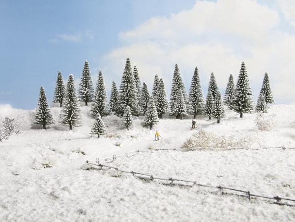 Noch 32828 Schneetannen