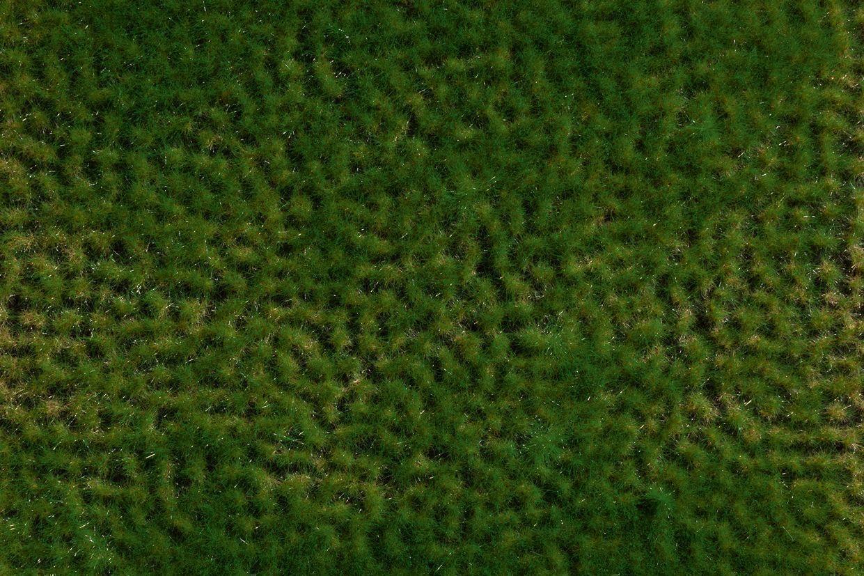 Auhagen 76701 Grasbüschel Frühling 2-6 mm