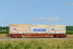 Sdv Model 12119 Containertragwagen Sgnss 55 ČD/ČDC