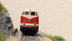 Roco 7300060 H0 Diesellokomotive BR  118 210-4 DR