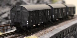 Tillig 01103 TT Reisezugwagenset der DRG