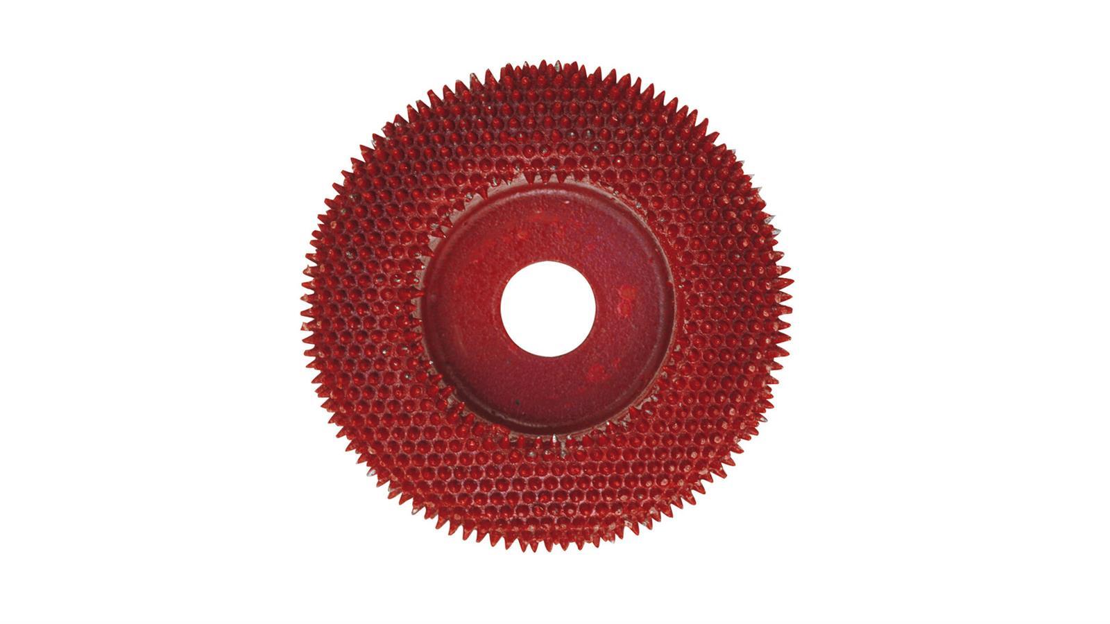 Proxxon 4529050  Raspelscheibe mit Metallnadeln aus Wolfram-Carbid, Ø 50 mm