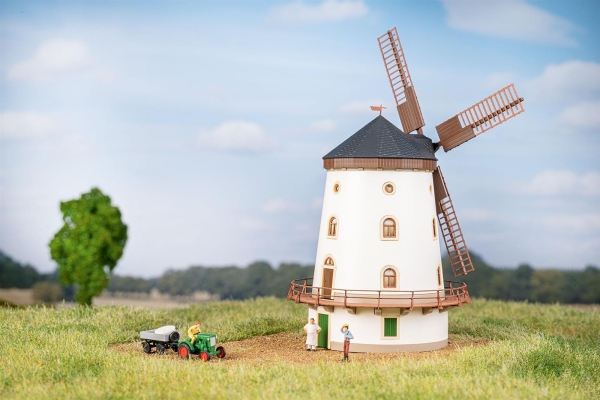 Auhagen 14490 N Windmühle Gohlis