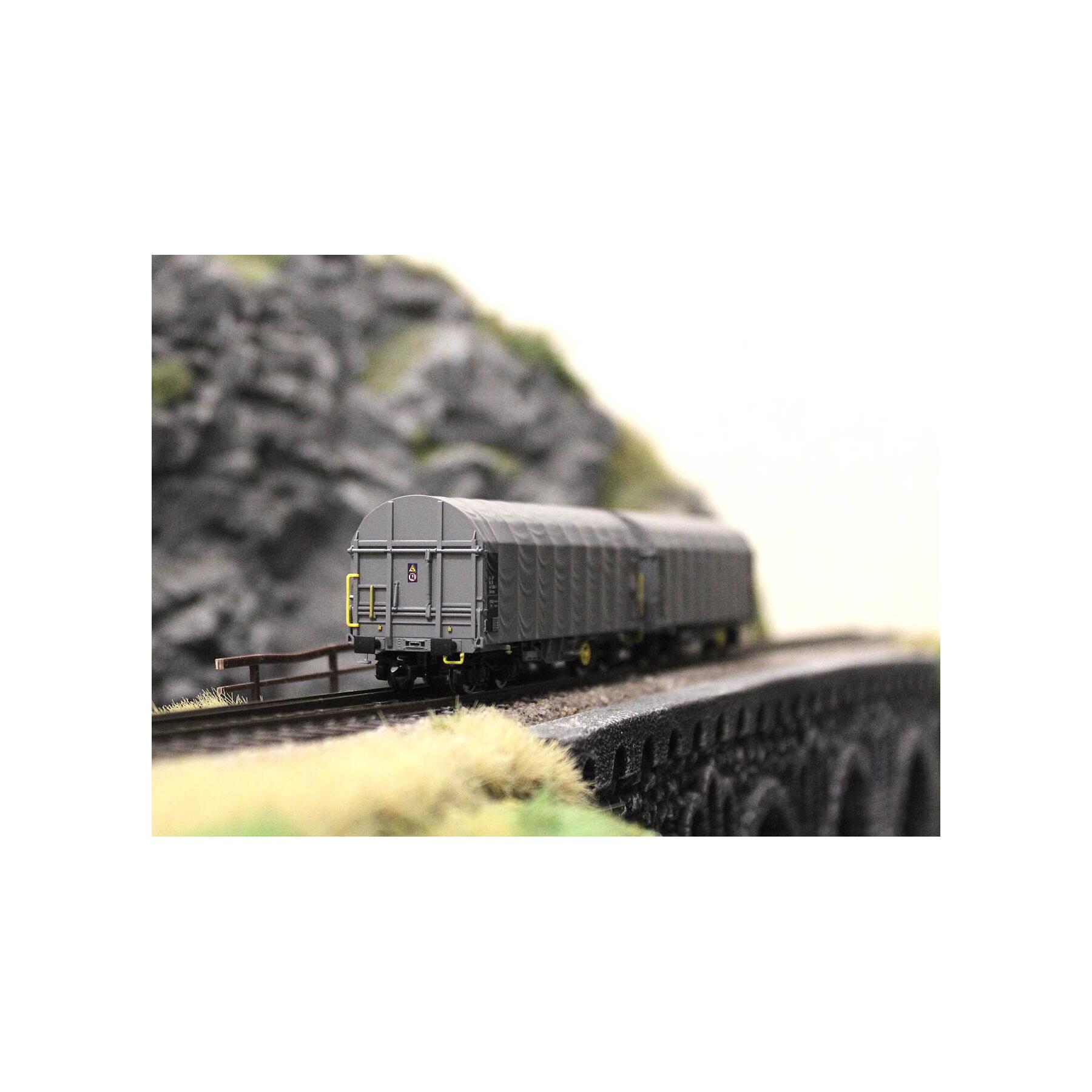 Roco 6680025 TT 2er Set Schiebeplanenwagen CD Cargo