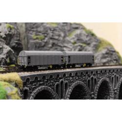 Roco 6680025 TT 2er Set Schiebeplanenwagen CD Cargo