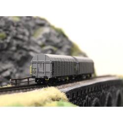 Roco 6680025 TT 2er Set Schiebeplanenwagen CD Cargo