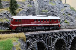 Roco 7300096  H0 Diesellokomotive BR 120 144-1 DR ,Ep IV