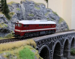 Roco 7310096  H0 Diesellokomotive BR 120 144-1 DR ,Ep IV - Sound Version