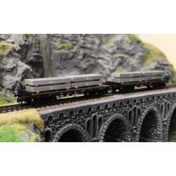 Rivarossi HR6701 H0 2-tlg. Set 4-achs. Rungenwagen der...