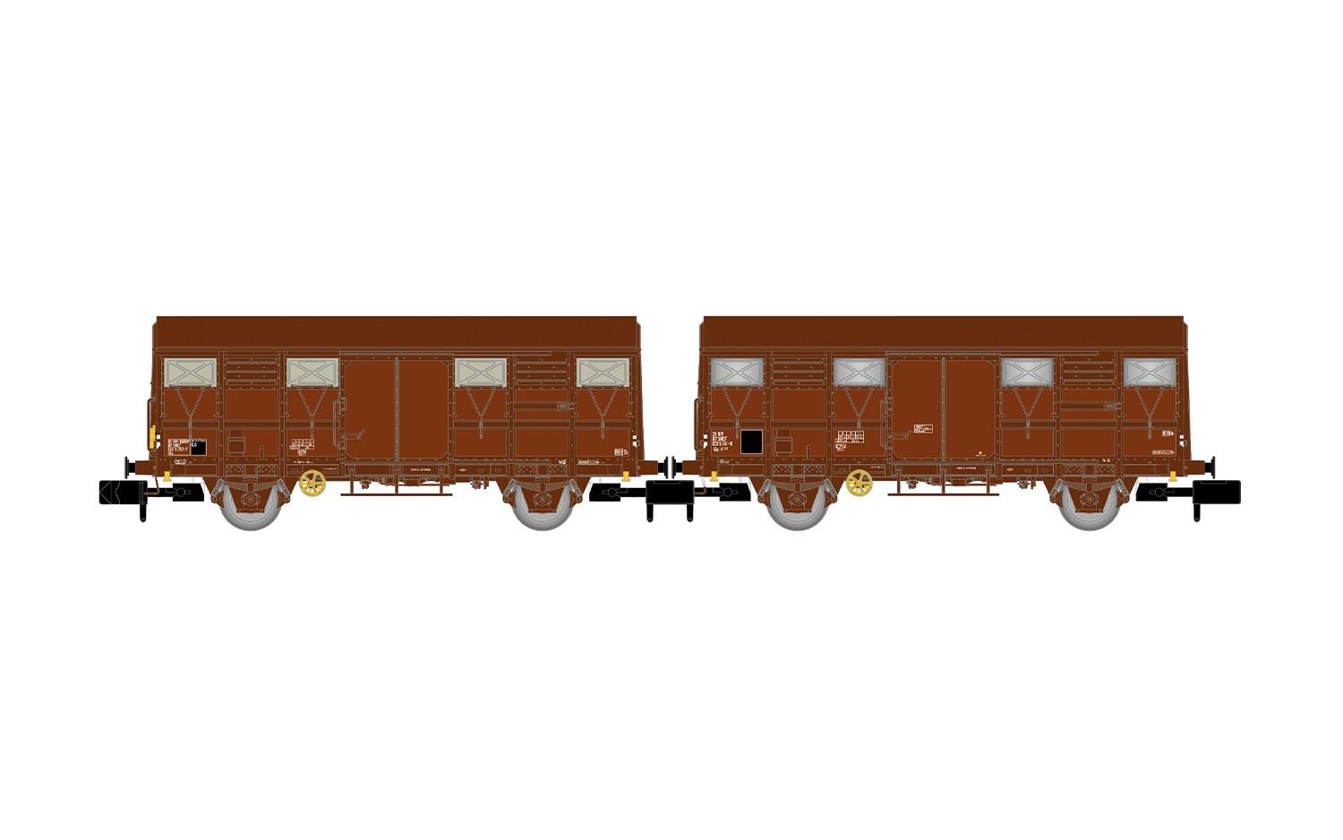 Arnold HN6717 N 2-tlg. Set Gs-Wagen SNCF, braune Farbgebung, einer mit roten Zugschlusslaternen