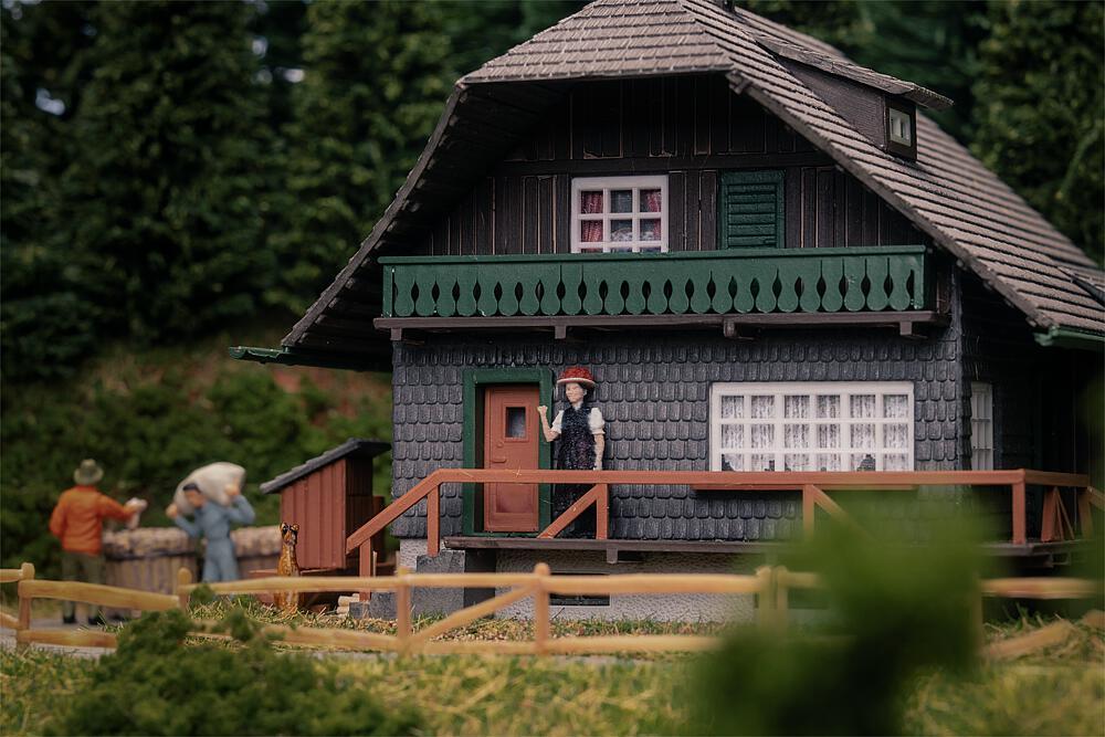 Faller 130010 H0 Jubiläumsmodell Schwarzwaldhaus mit Figur