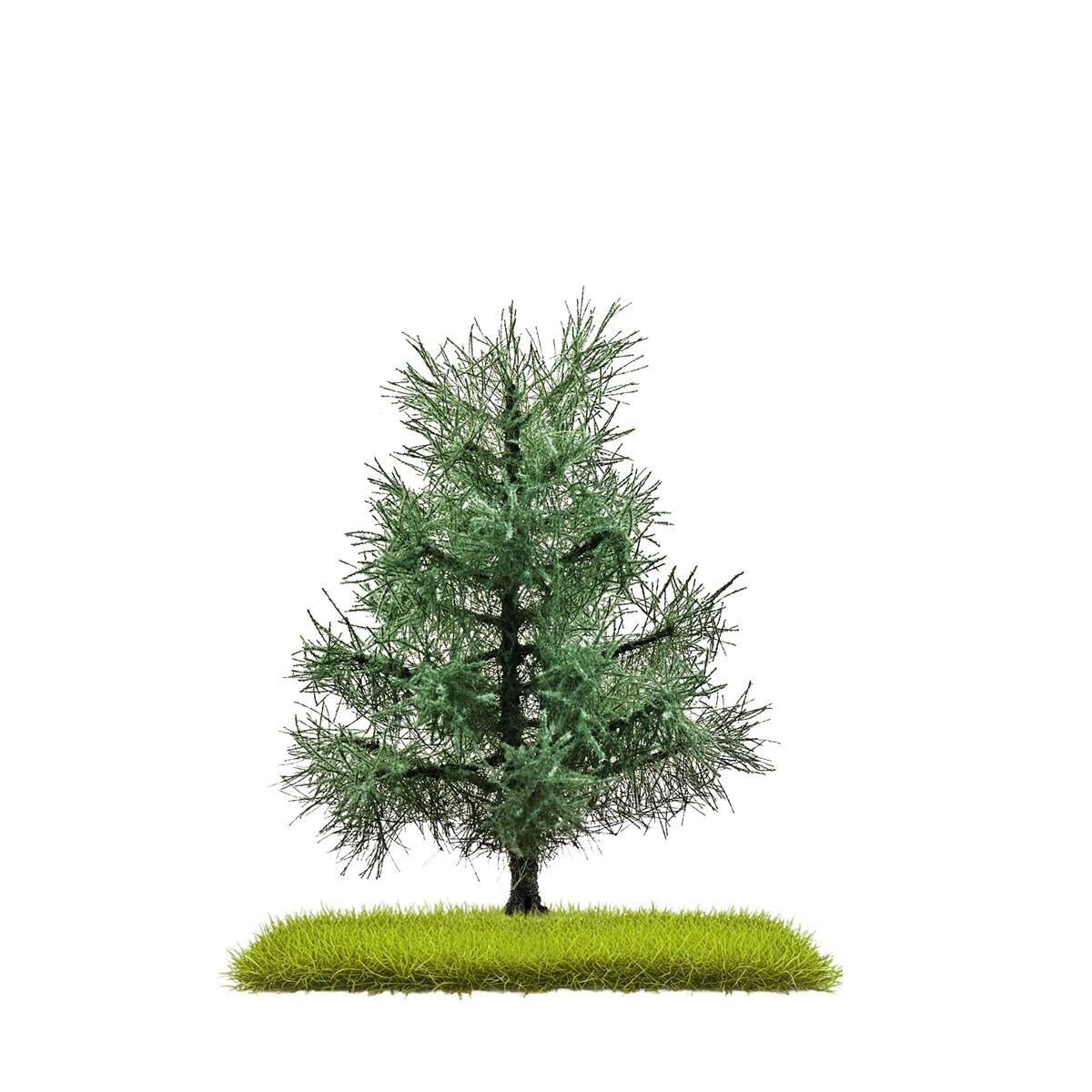 Busch 3801 H0/ TT/ N 2 Tannen 80 mm