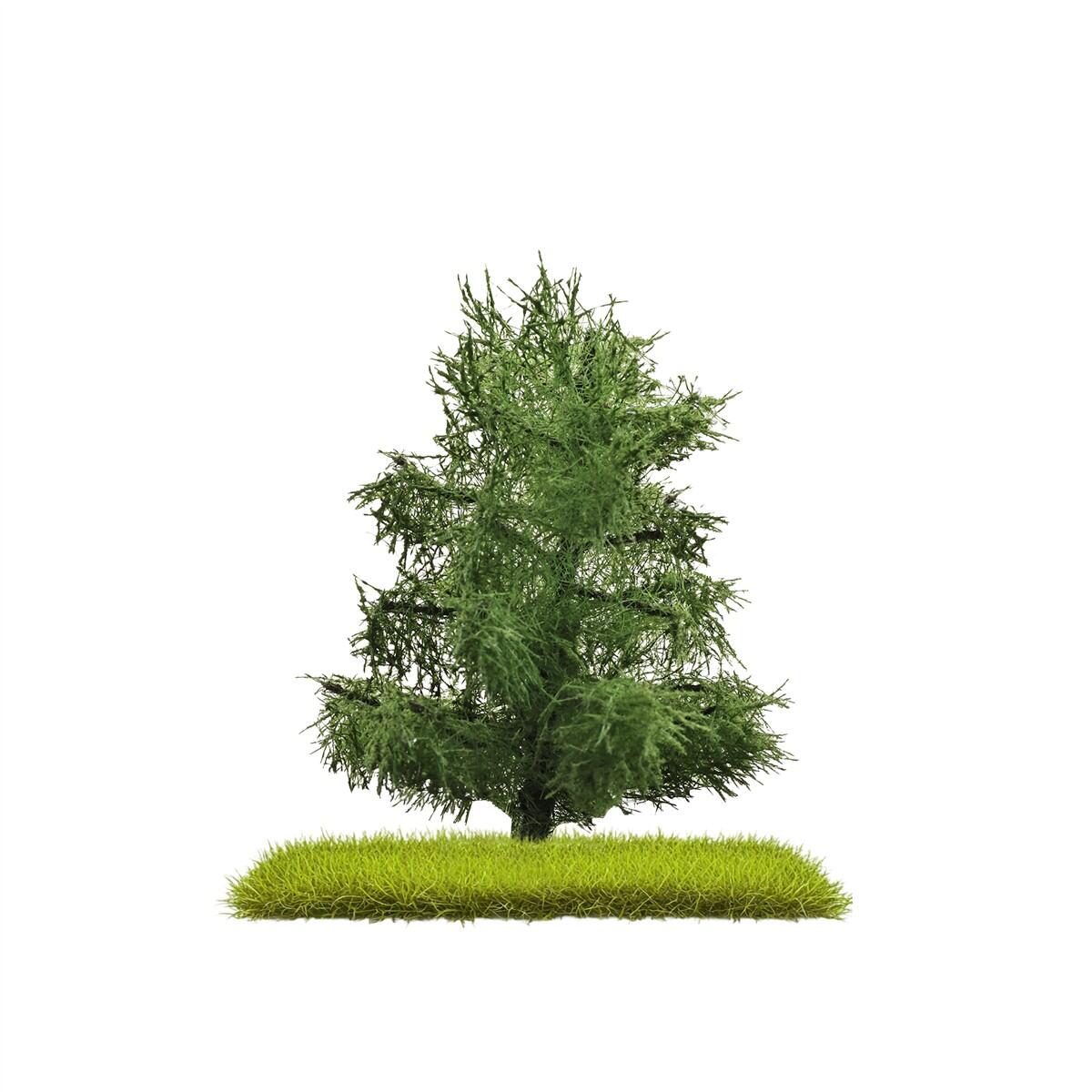 Busch 3805 H0/ TT/ N 2 Fichten 80 mm