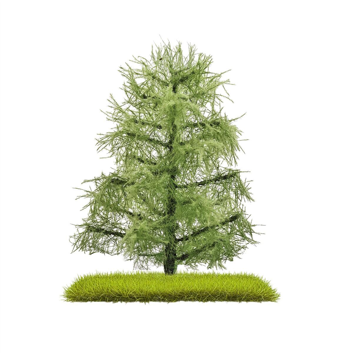 Busch 3811 H0/ TT/ N 2 Lärchen Sommer 80 mm