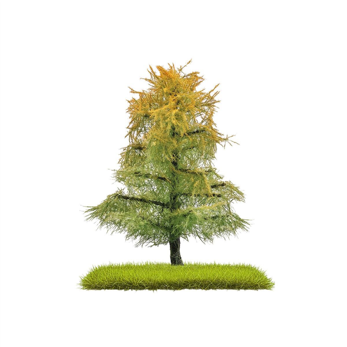 Busch 3815 H0/ TT/ N 2 Lärchen Spätsommer  80 mm