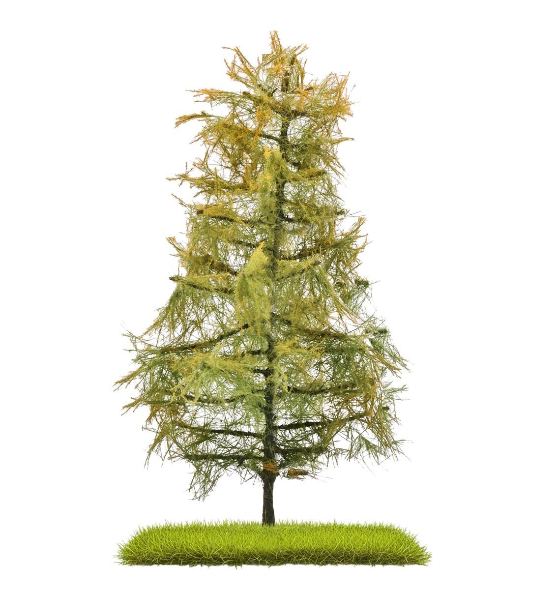 Busch 3816 H0/ TT Lärche Spätsommer 140 mm