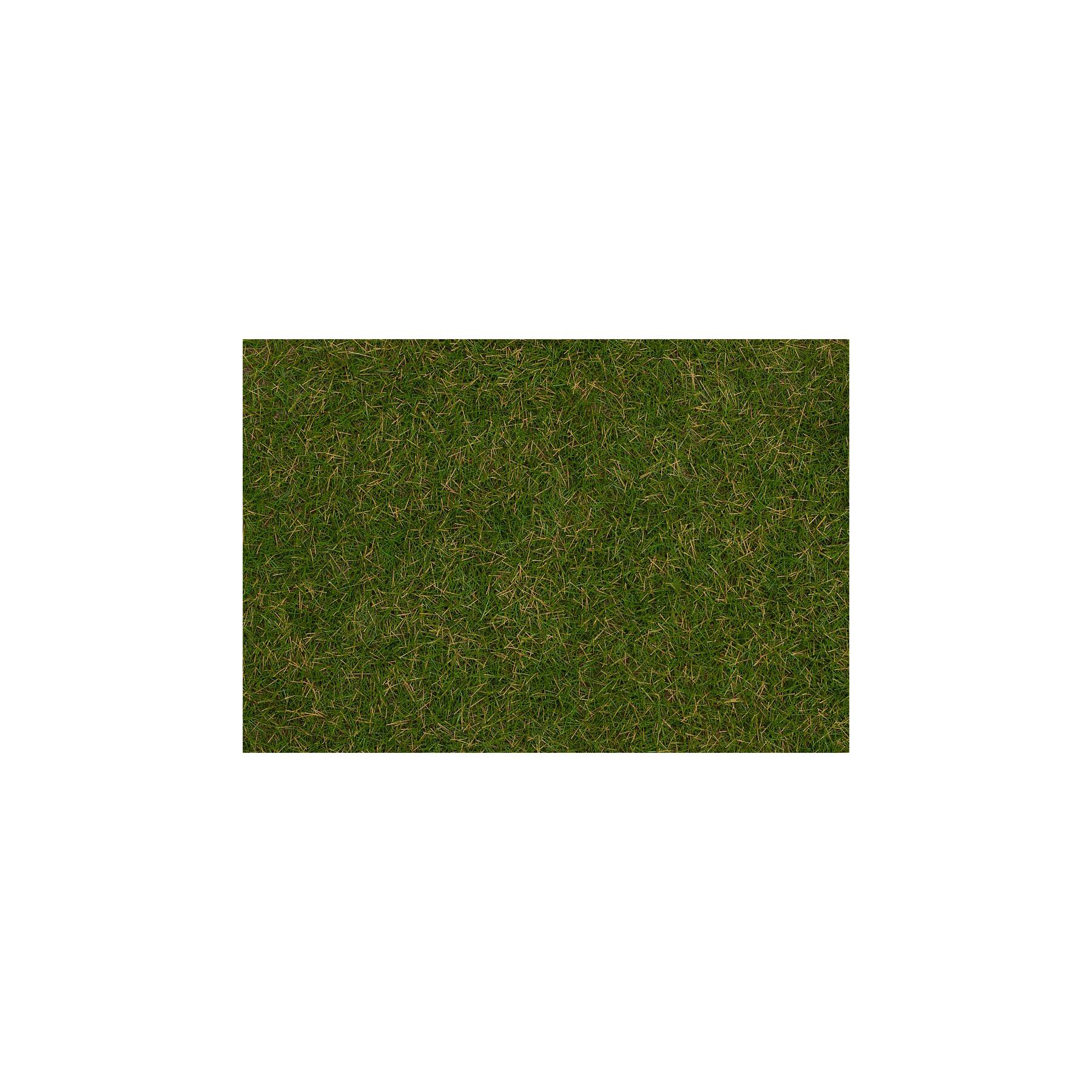 Faller 170217 Grasfasern, Sommerwiese, 4 mm