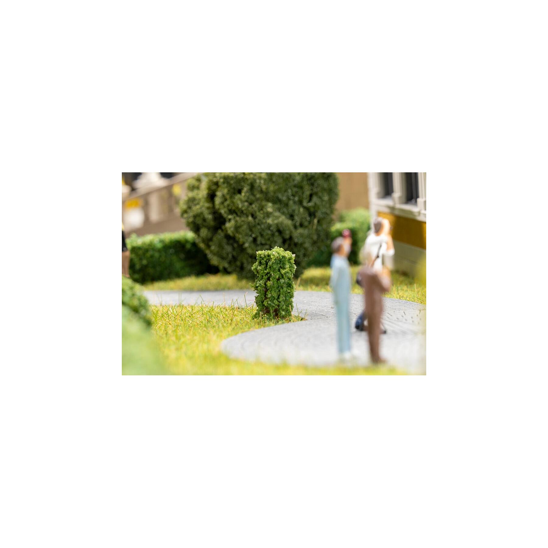 Faller 181592 10 Vorgartenbäume, Thuja, säu