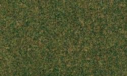 Auhagen 75594 Grasfasern Wiese dunkel 2 mm