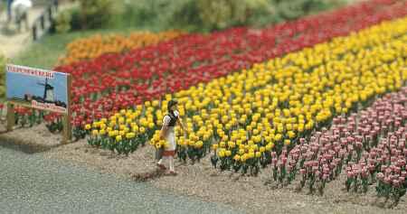 Busch 1206 Tulpen