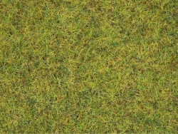 Noch 08310 Sommerwiesen-Gras 2,5 mm