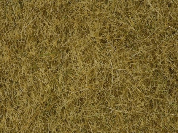 Noch 07101 Wildgras, beige 6 mm